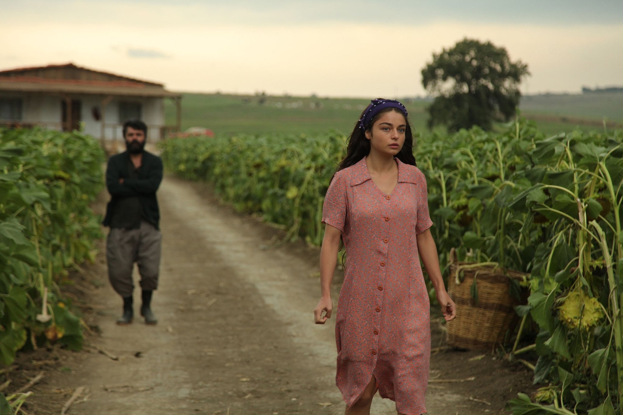 Кадр из Милая и опасная