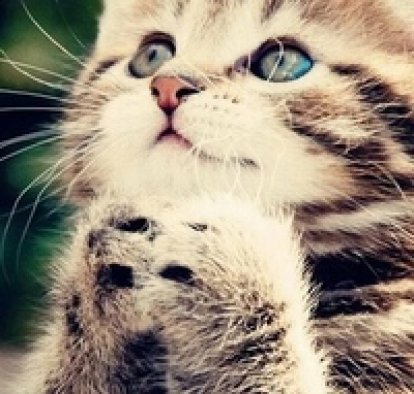 Татьяна Позднякова